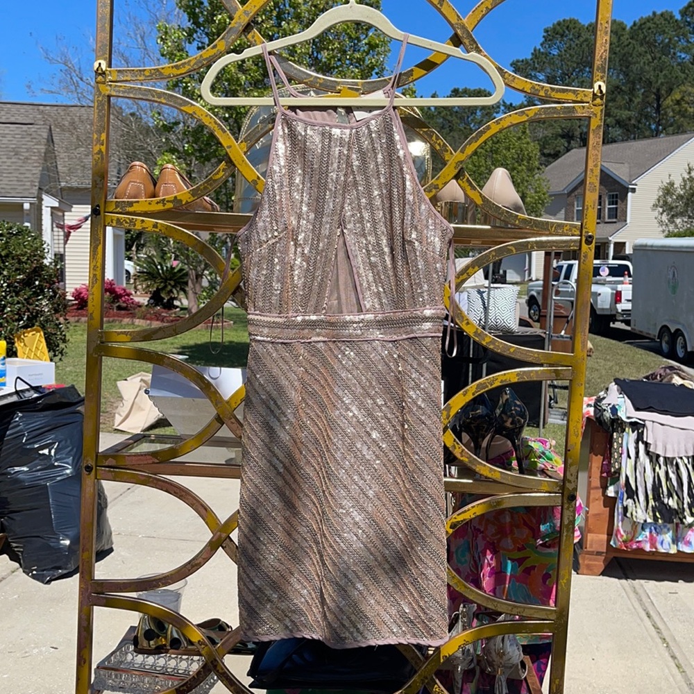 NWT vestique dress